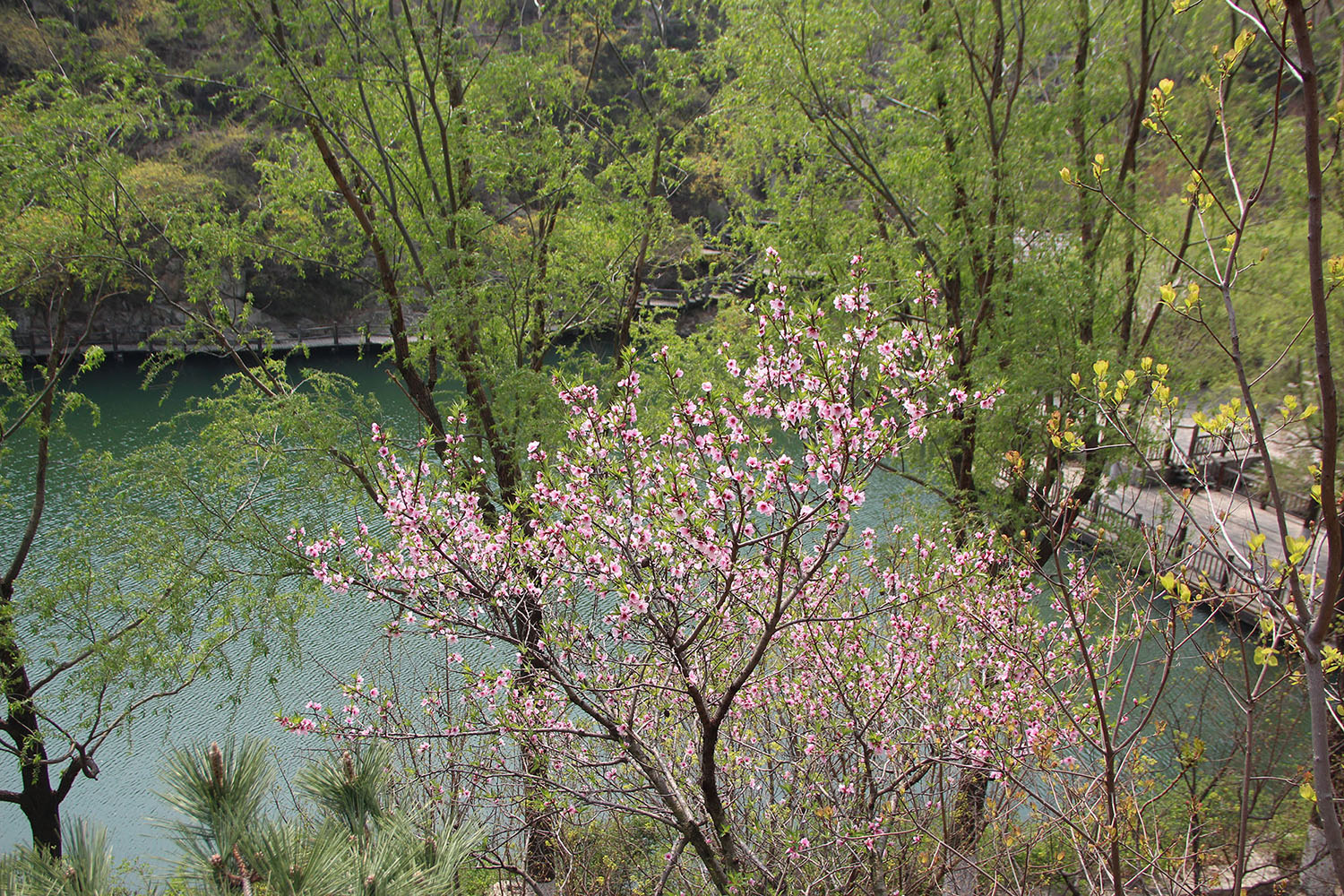 2021，濟(jì)南辰達(dá)試驗(yàn)機(jī)制造有限公司九如山一日游！